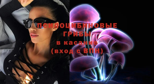 apvp Белокуриха