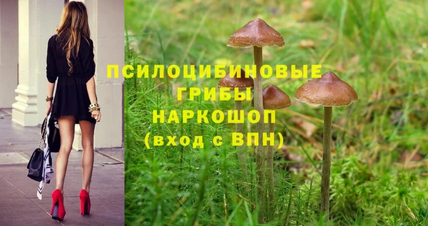 дурь Богородицк