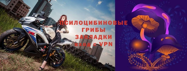 дмт Богородск
