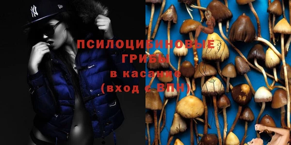 дурь Богородицк