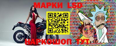 эйфоретик Баксан