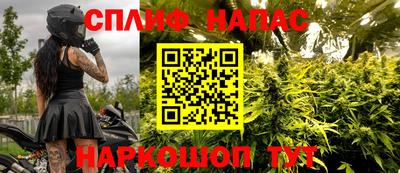 эйфоретик Баксан