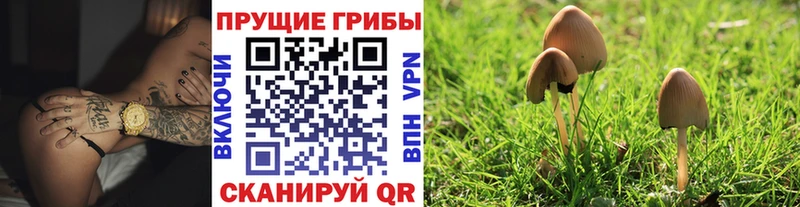 Галлюциногенные грибы ЛСД  Великие Луки 