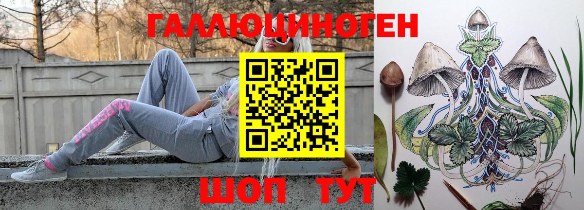 где купить   Галлюциногенные грибы MAGIC MUSHROOMS  Вход с VPN  Великие Луки 